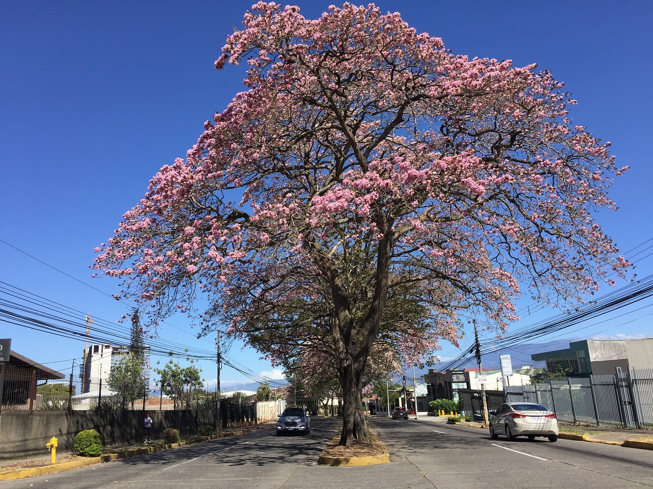 城市繁荣背后的土地传奇，最新地王诞生记