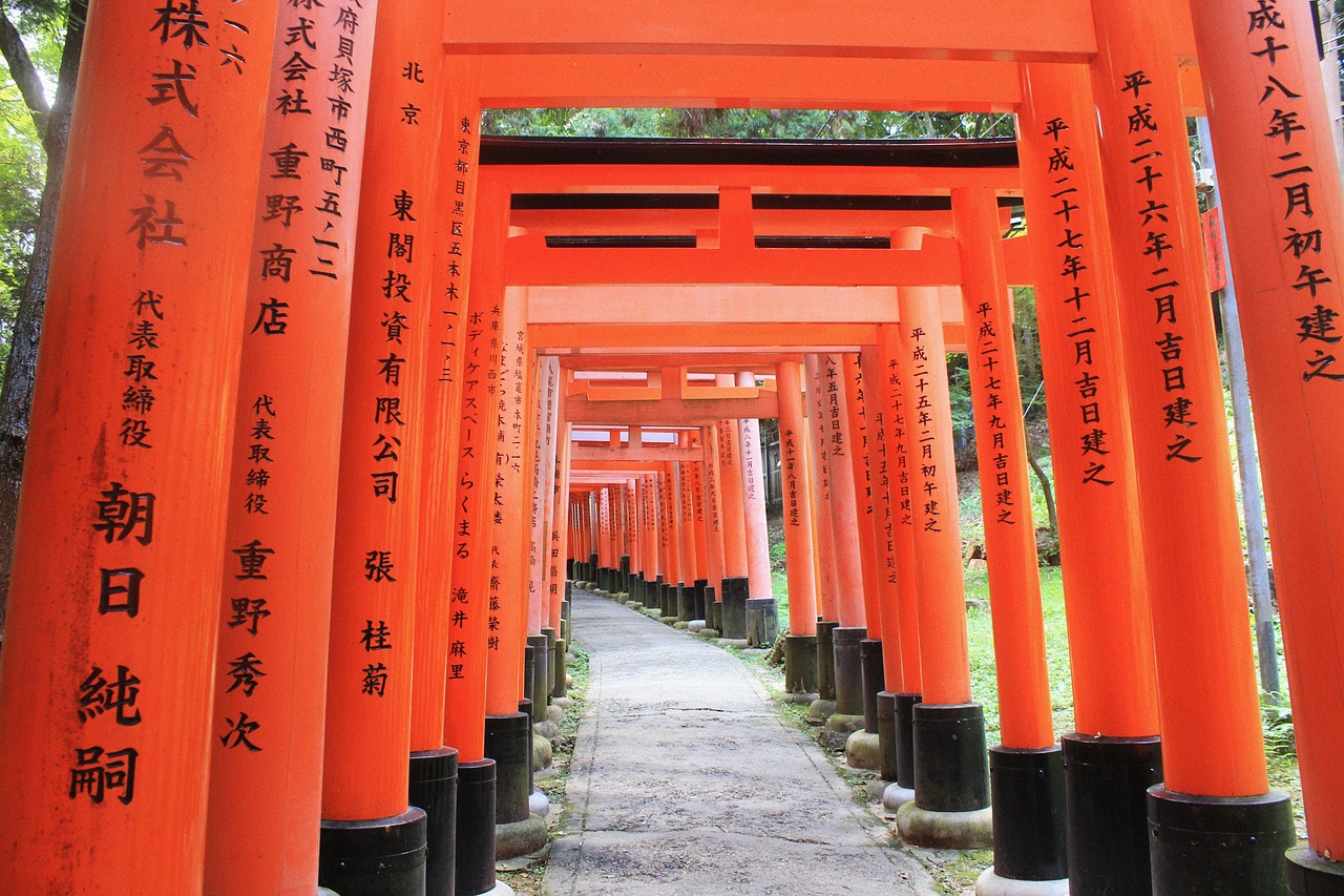 内蒙古重塑旅游体验与交通秩序，最新出行通知发布
