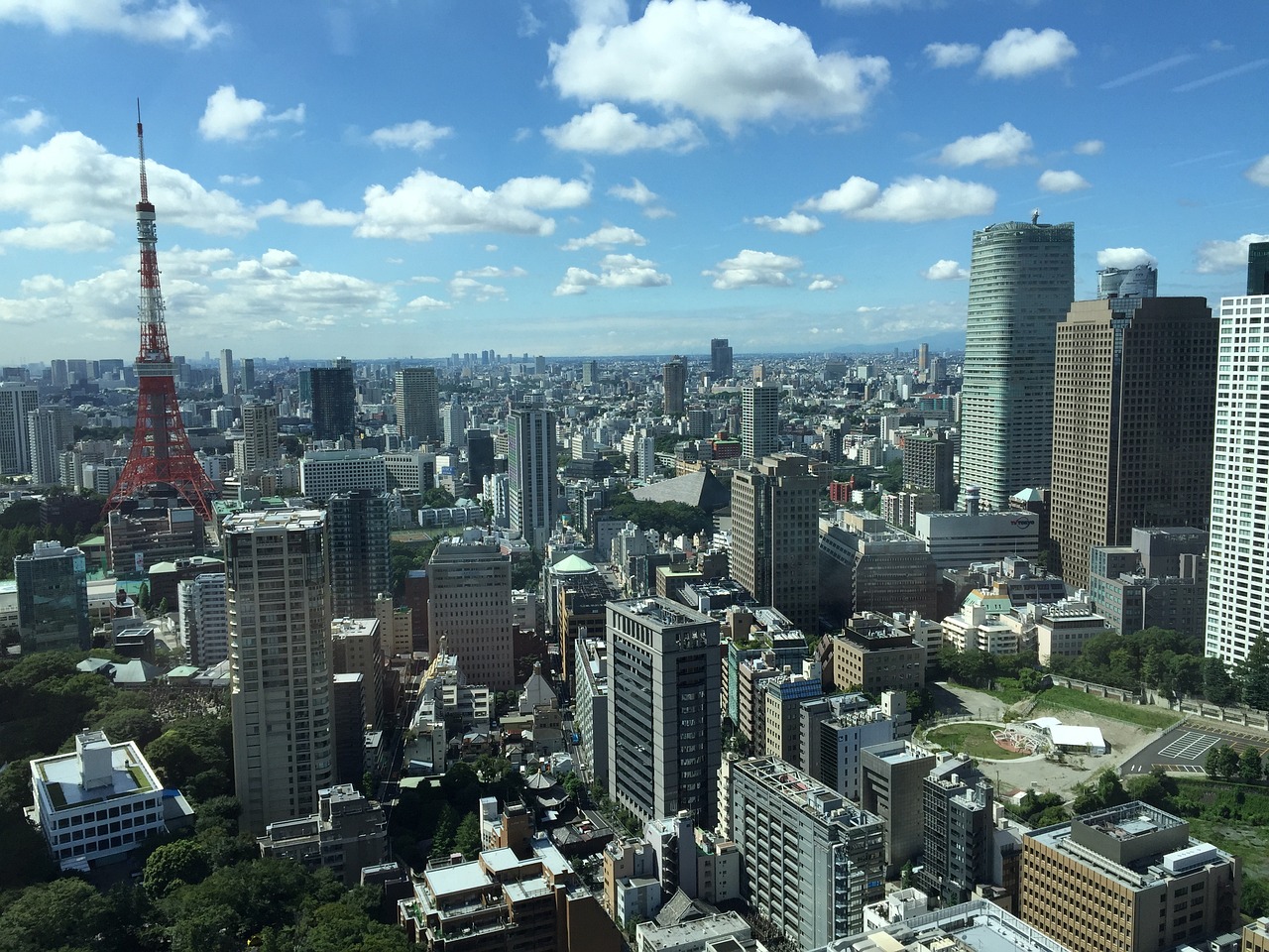 联合国最新年龄划分深度解析