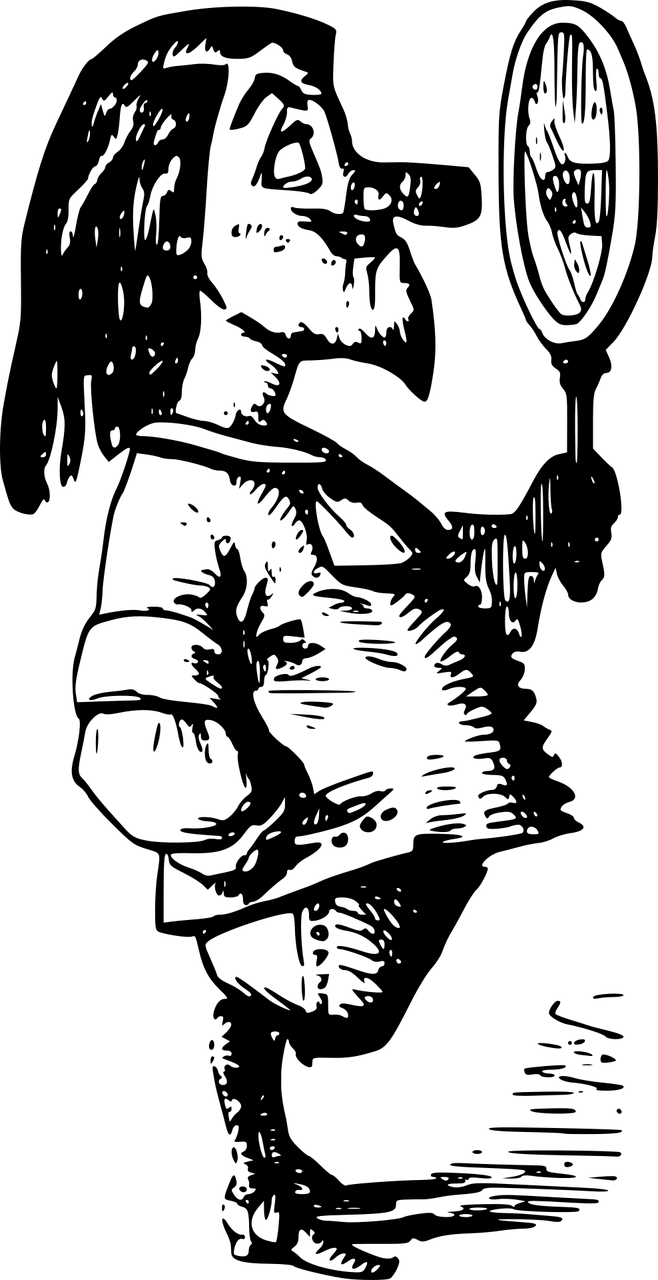 王暨钟最新持股动态解析，投资策略揭秘与持股动向概览
