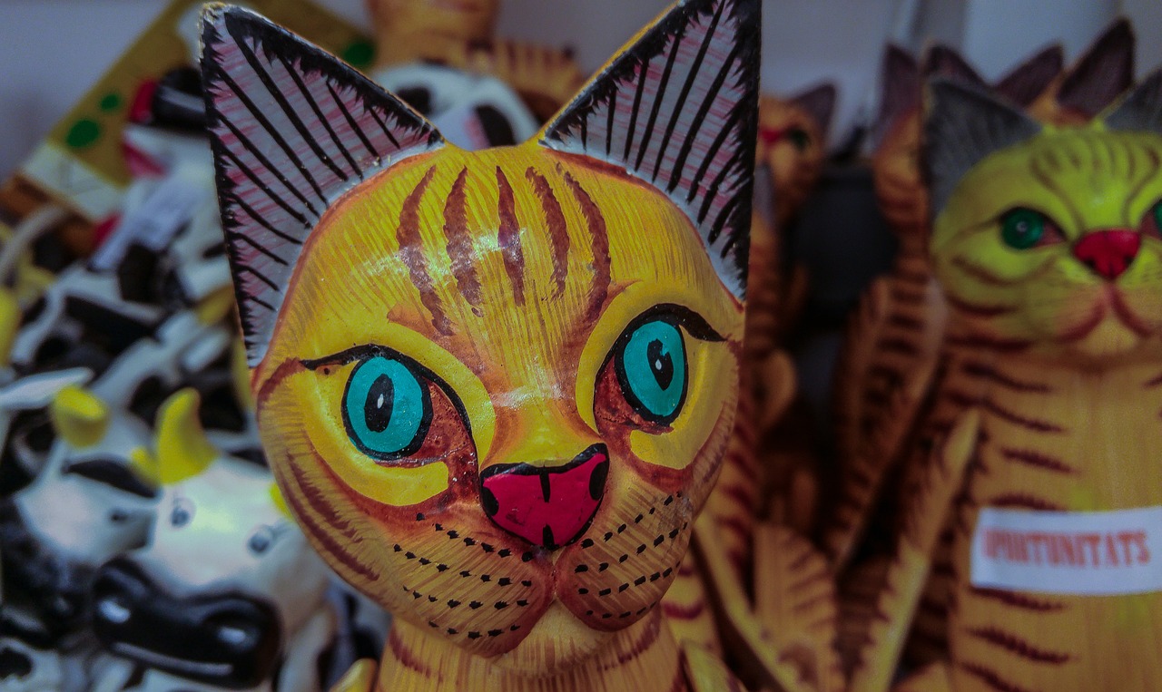 猫咪大战争最新版破解探究，游戏魅力与策略解析（警示，破解游戏涉嫌违法）