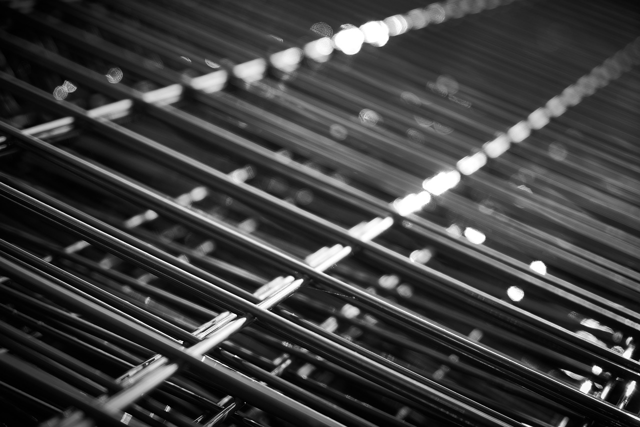 寿光玉米价格最新行情分析与趋势预测