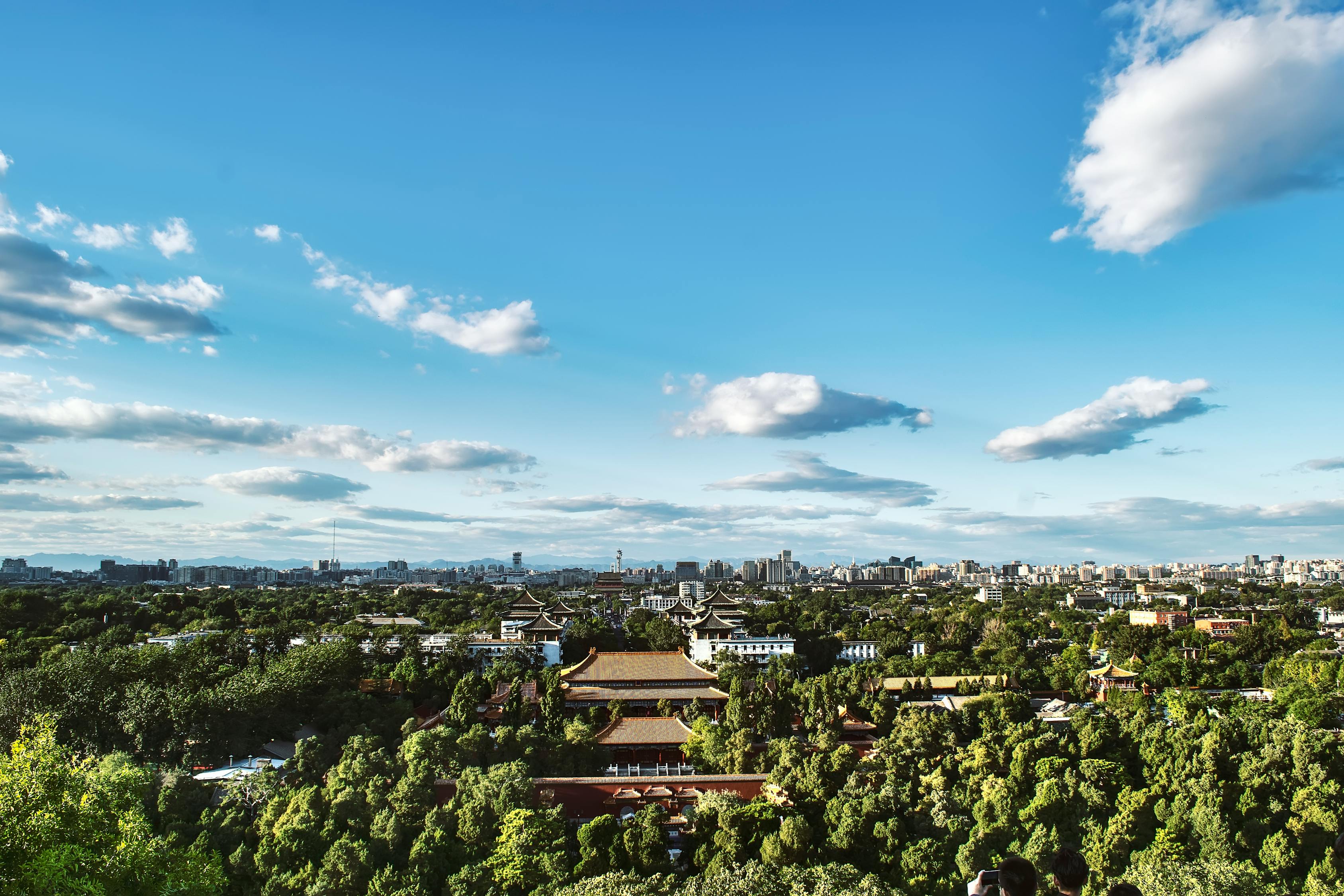 仁怀最新新闻动态，城市脉搏与时代步伐的同步前行
