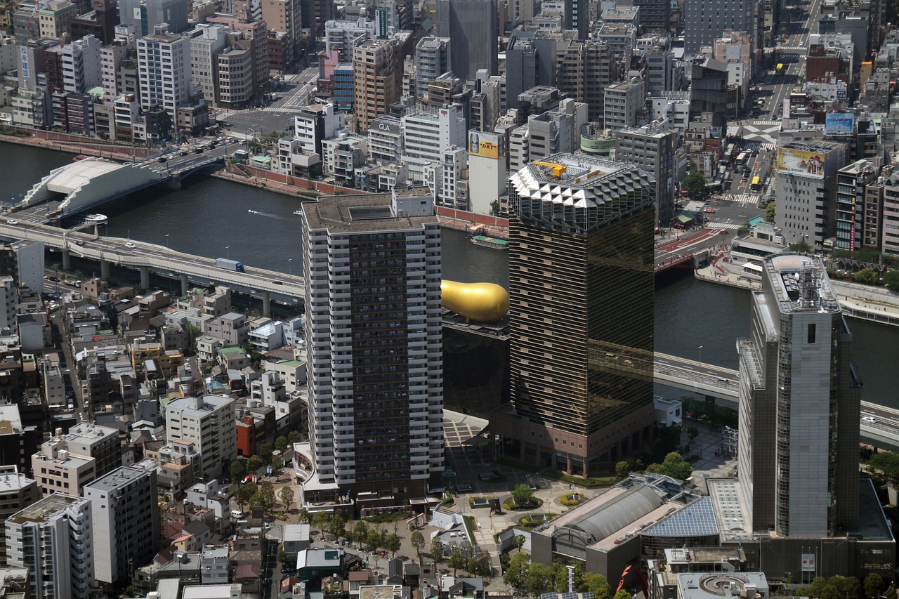 禄口地区最新规划展望，塑造未来城市新面貌的蓝图
