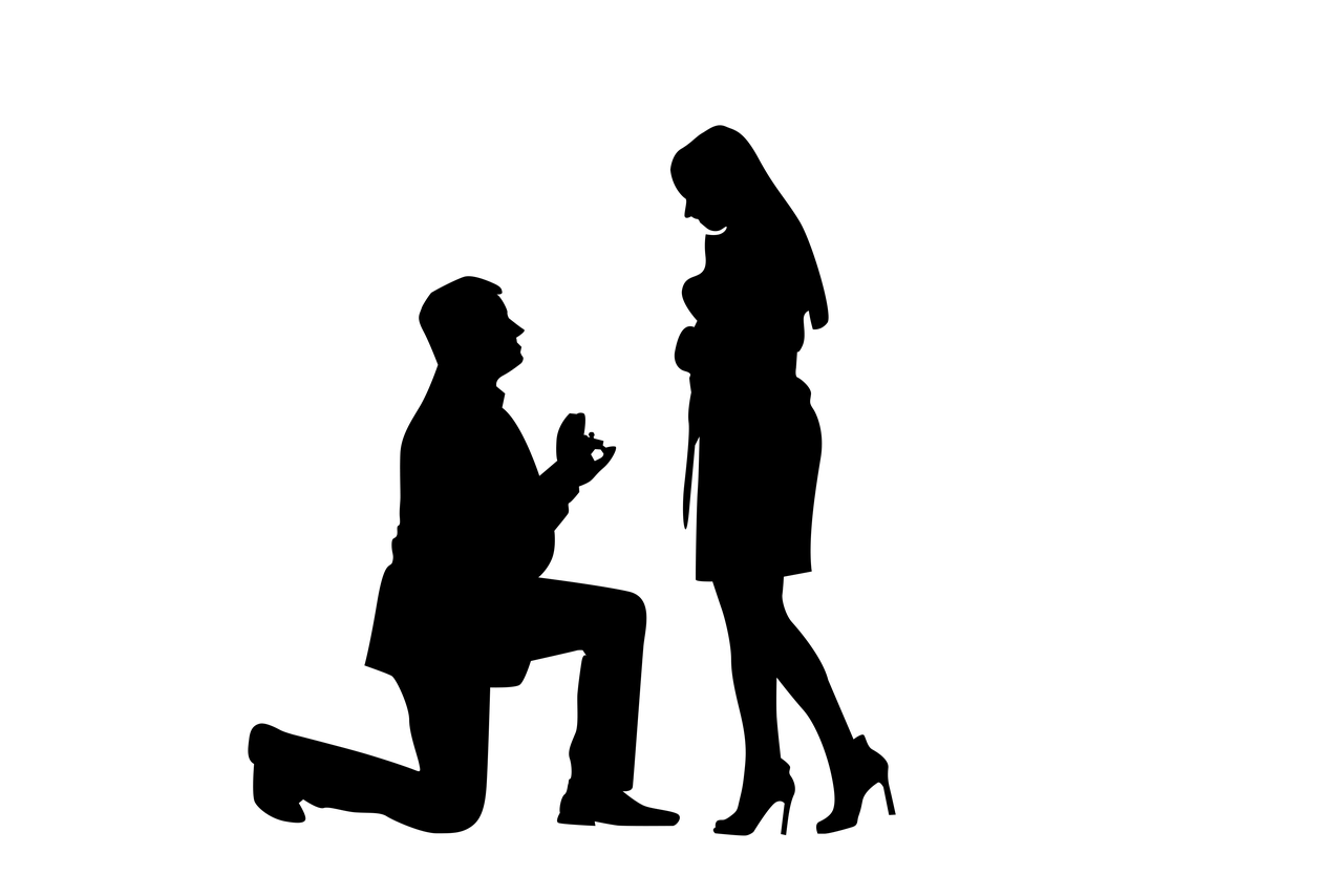 环县最新人事任免动态更新