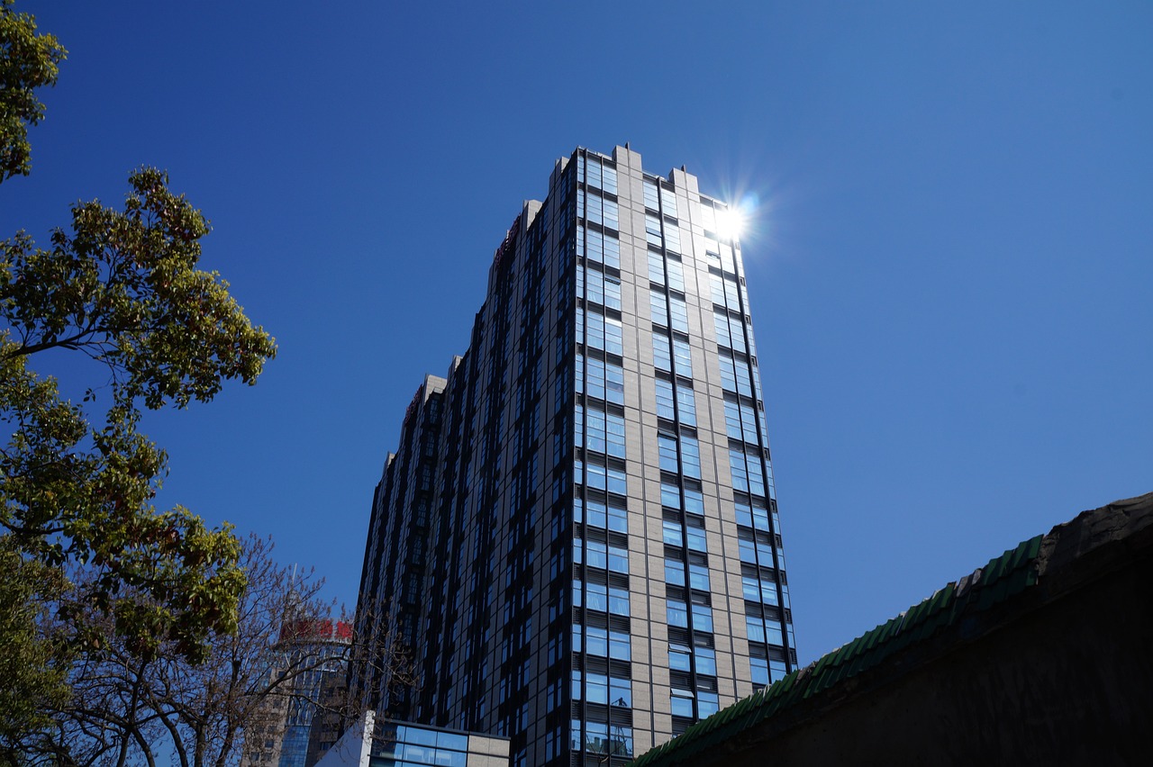 临泉最新楼盘开盘价揭秘，市场趋势与前景展望
