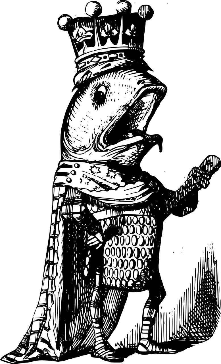 仙境传说最新动态深度解析与最新资讯