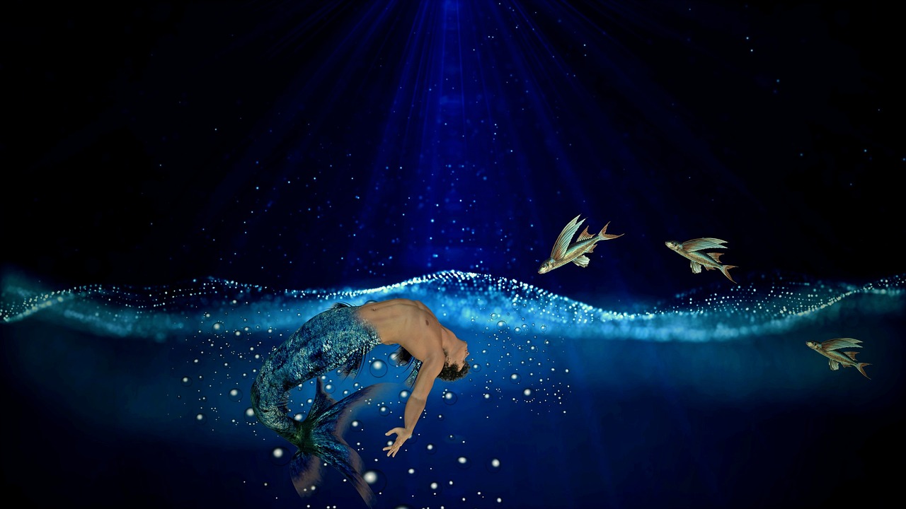 流行趋势下的浪漫旋律，最新结婚歌曲精选