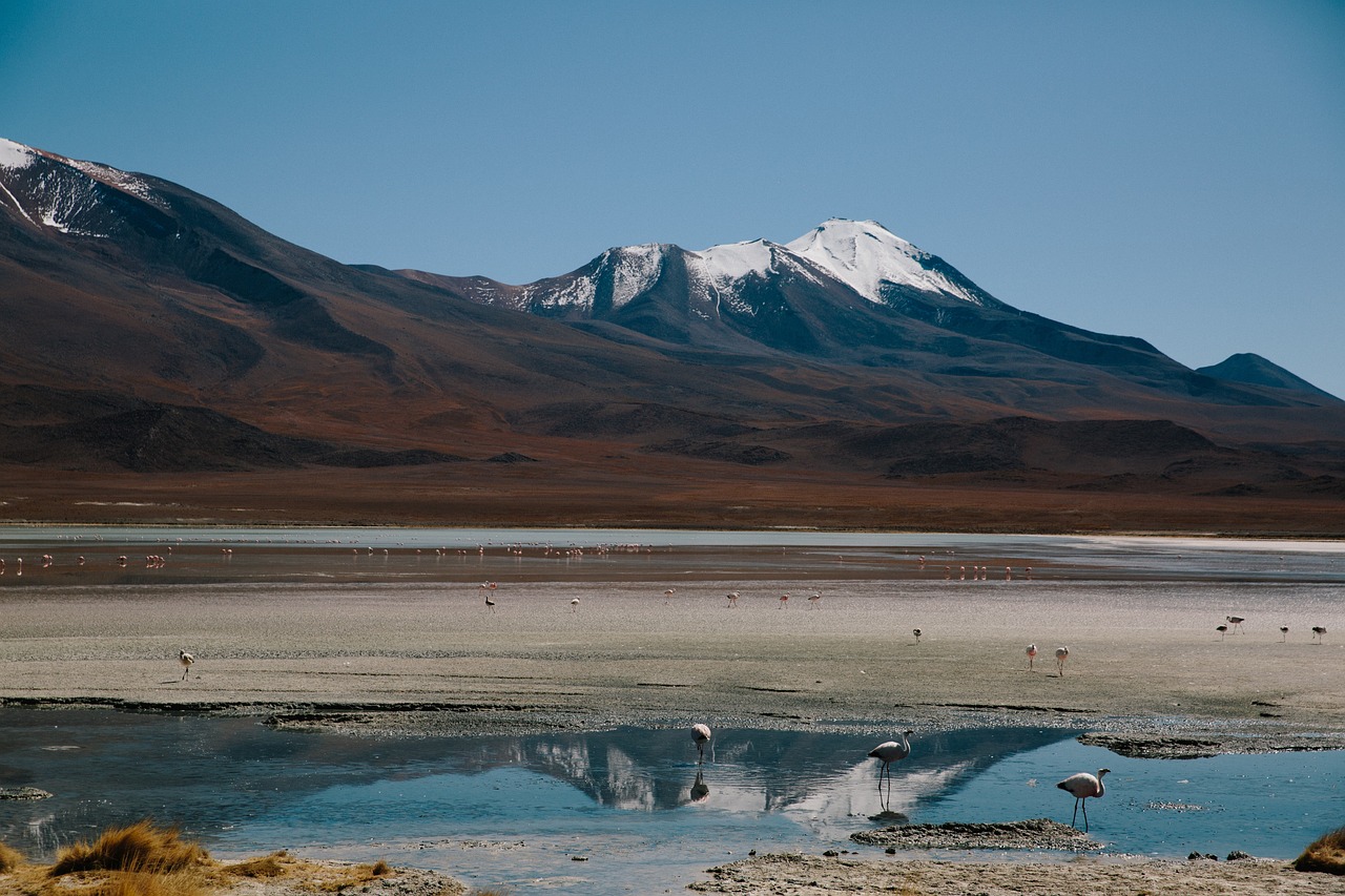 最新八天国，探索与体验的独特旅程