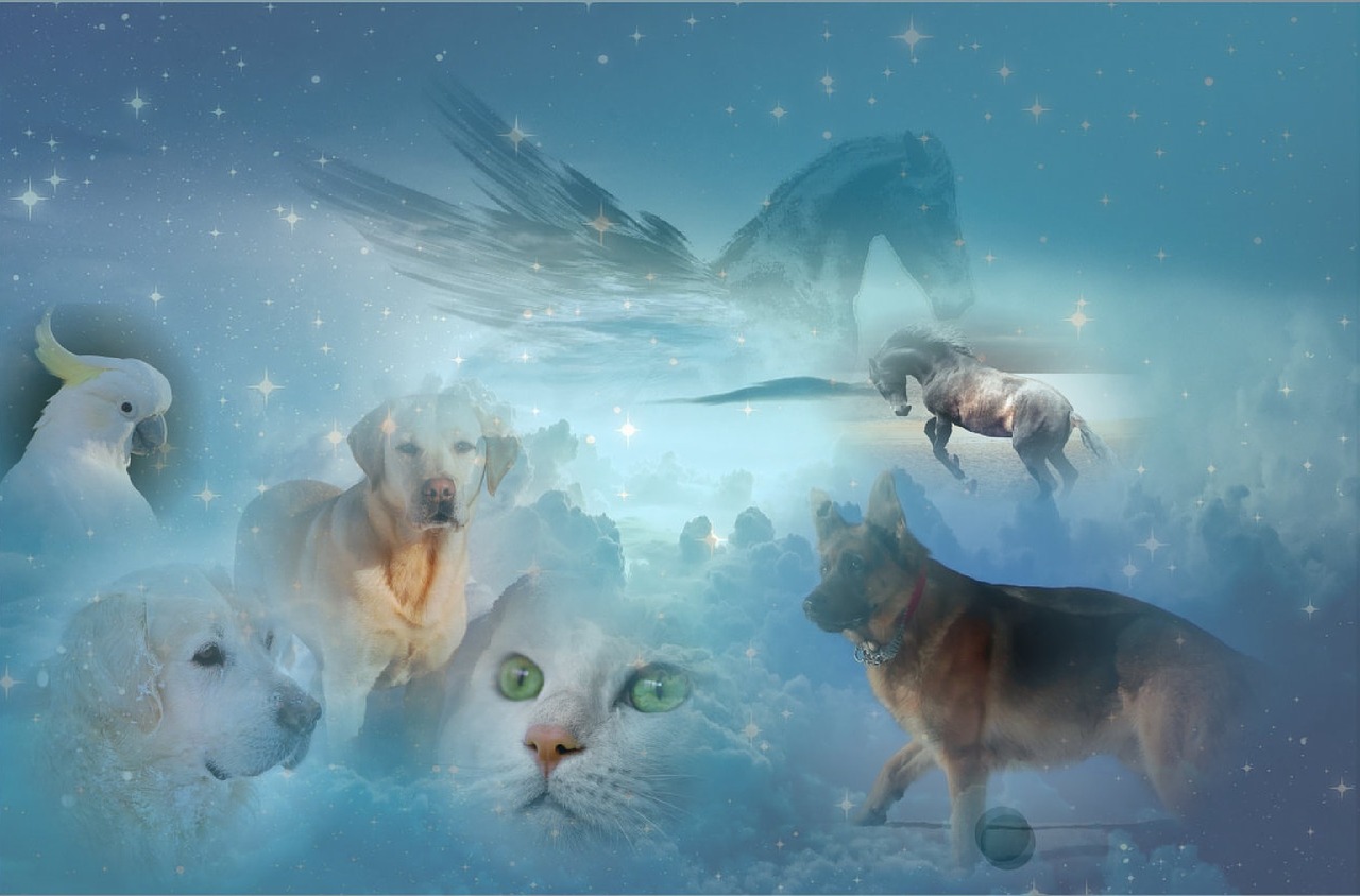 幻剑最新版，革新与超越的武侠之剑重磅来袭！