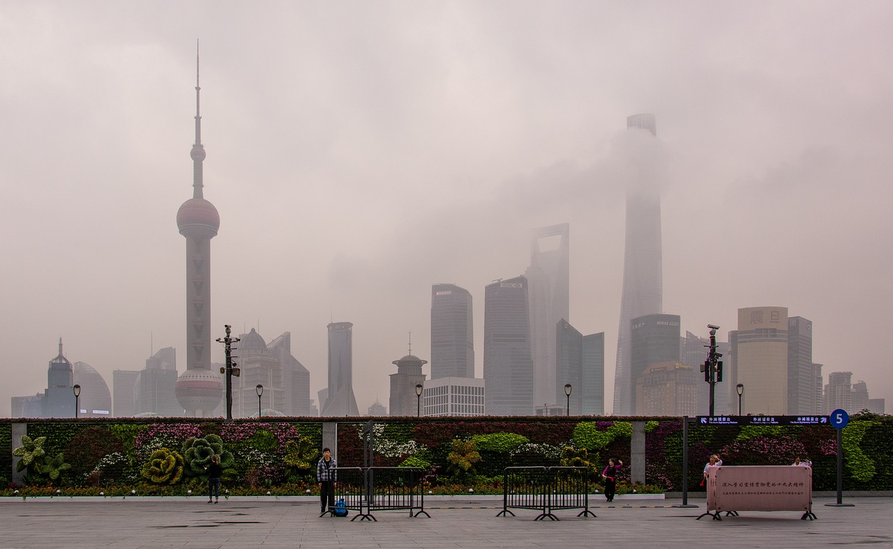 上海助动车行业趋势与市场动态深度解析，最新消息汇总